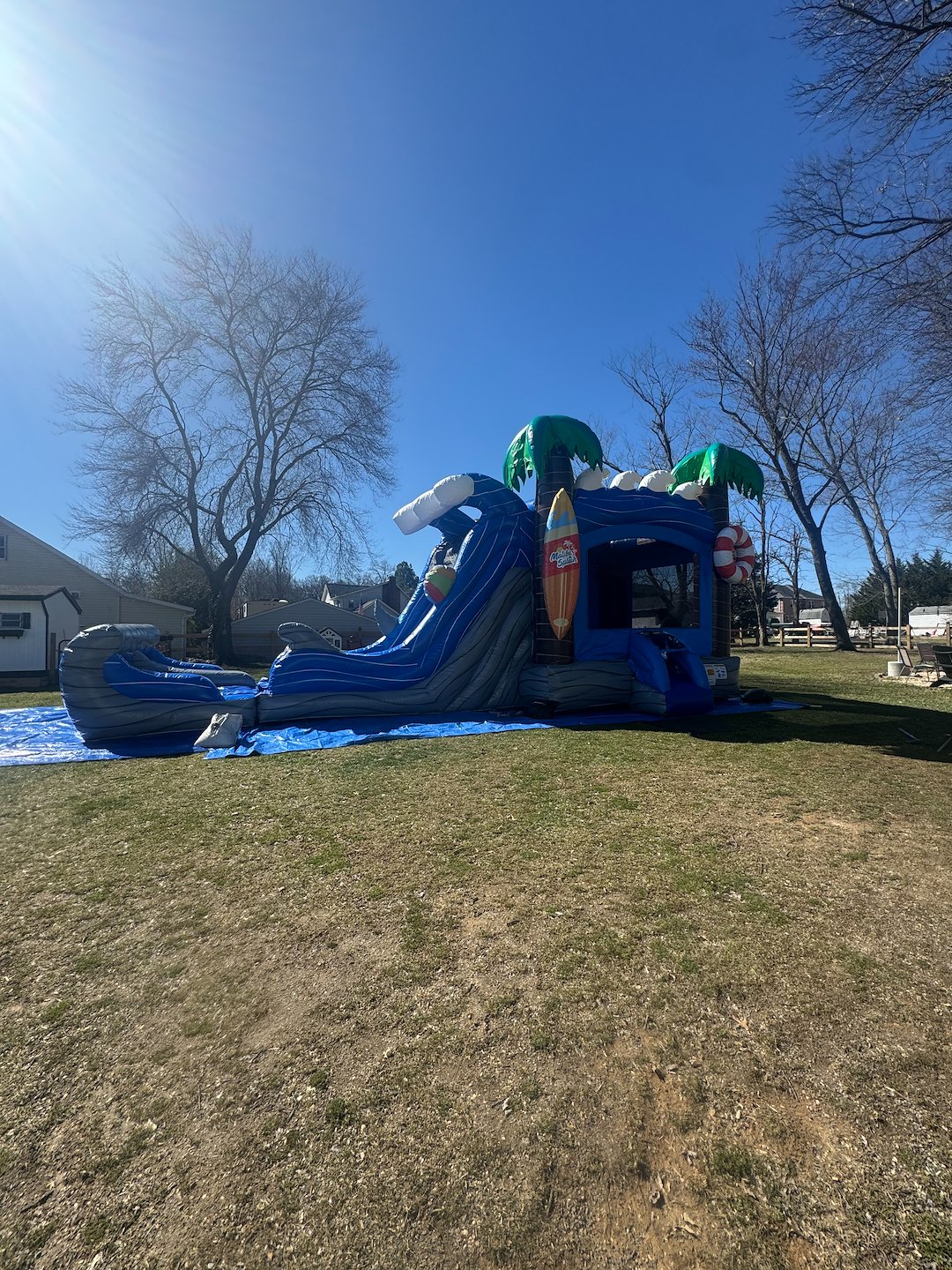 Wet/Dry Palm Tree Combo for Any Party in Baltimore, Maryland