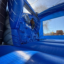 WetDry-Palm-Tree-Combo-for-Any-Party-in-Baltimore-Maryland 0