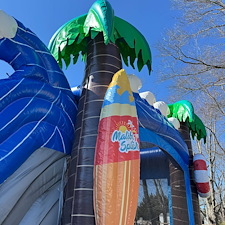 WetDry-Palm-Tree-Combo-for-Any-Party-in-Baltimore-Maryland 2