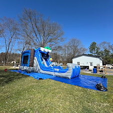 WetDry-Palm-Tree-Combo-for-Any-Party-in-Baltimore-Maryland 1