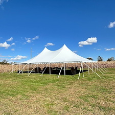 XL-Pole-Tent-for-Large-Scale-Backyard-Wedding-in-Fallston-Maryland 1